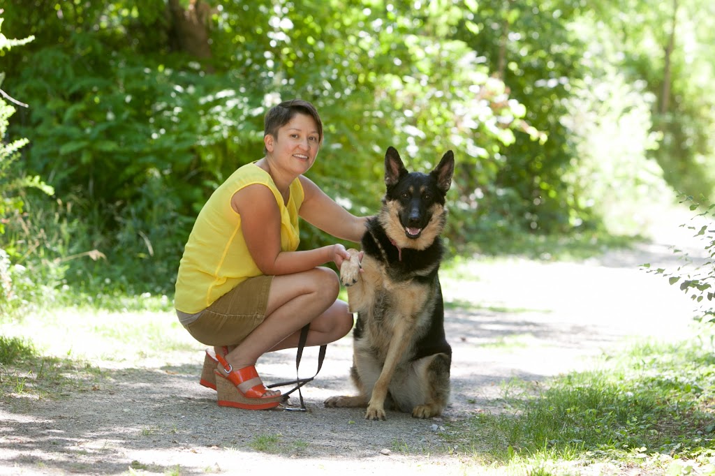 Trenton Pet Hospital | 441 Front St, Trenton, ON K8V 6C1, Canada | Phone: (613) 392-6667