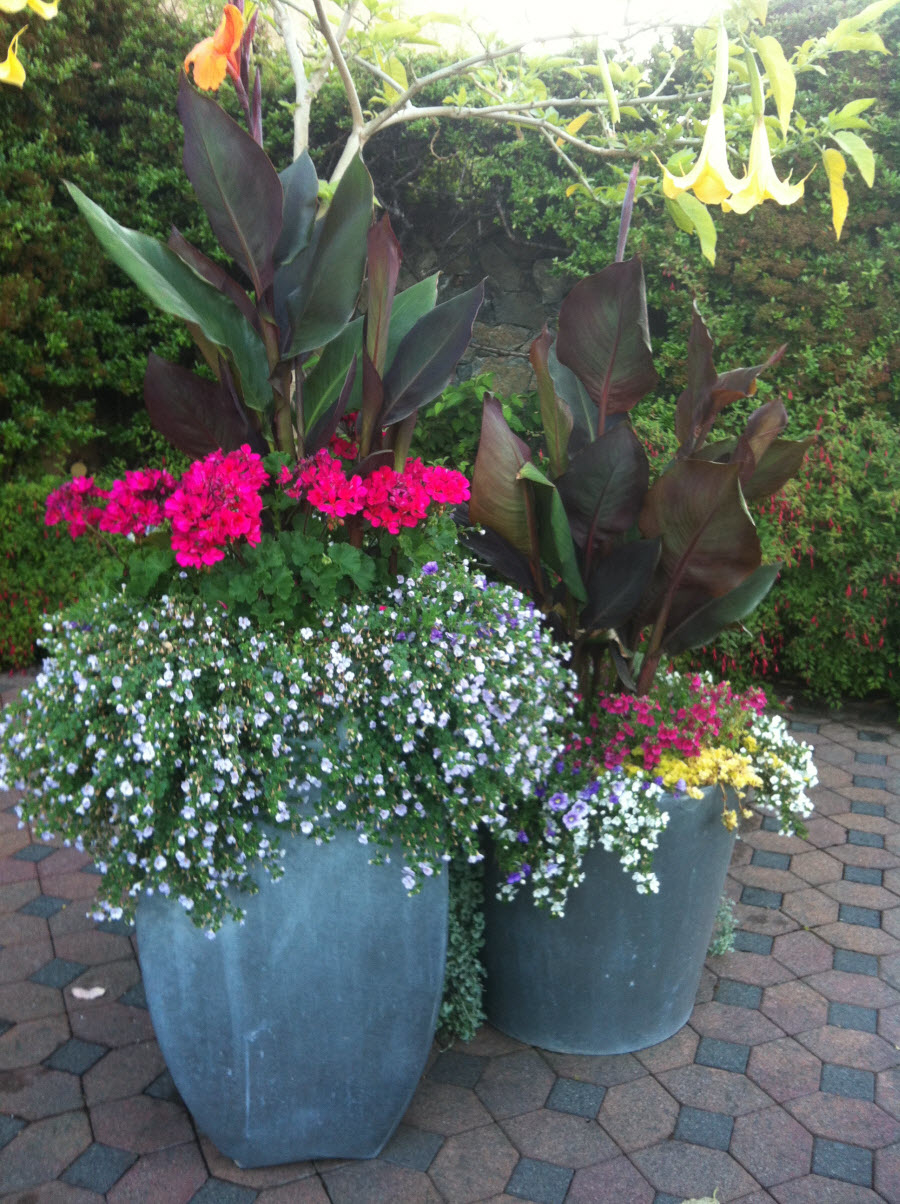 Cyran Gardens Landscape Design | 230 Day Rd, Duncan, BC V9L 3K1, Canada | Phone: (250) 732-8122