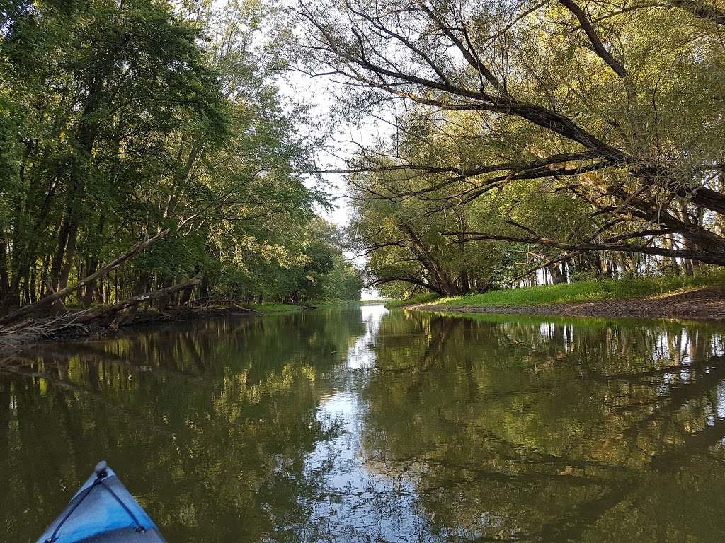 Minesing Wetlands | 363 Mill St, Angus, ON L0M 1T2, Canada | Phone: (705) 424-1479