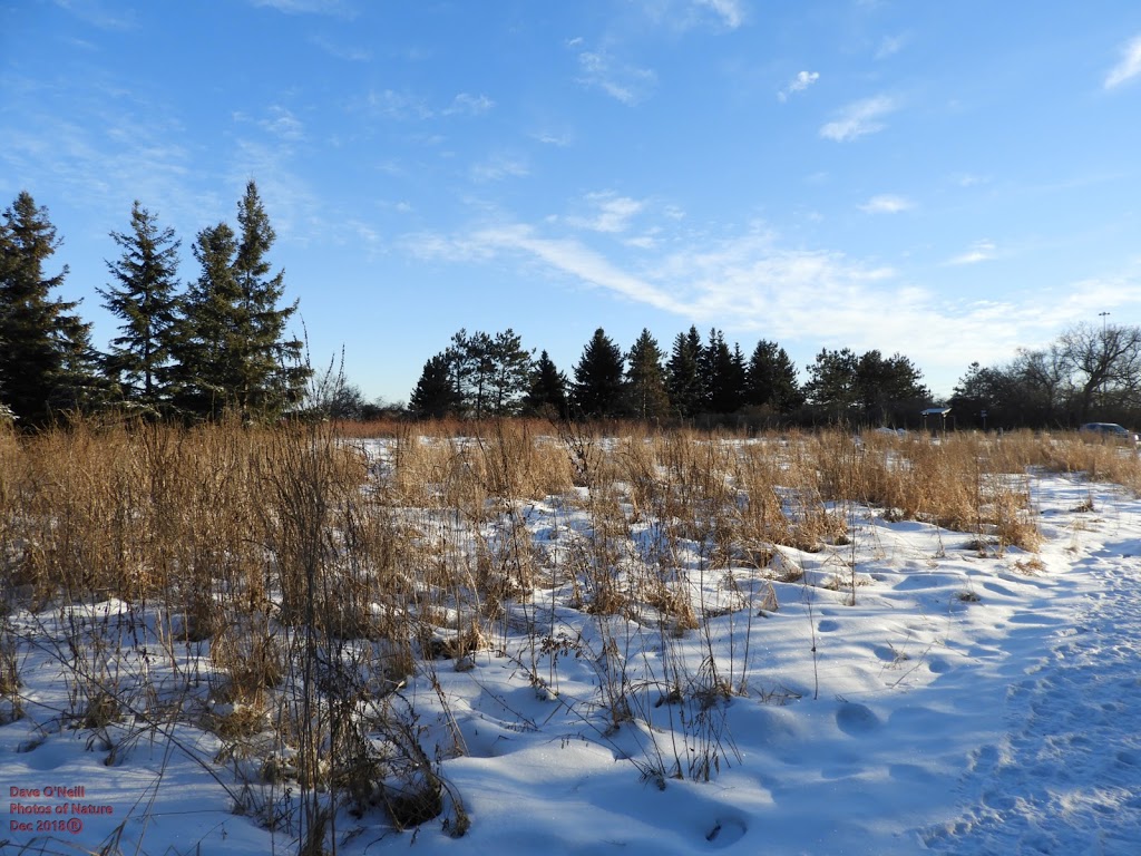 Greenbelt Trail 10 | Carling Ave, Ottawa, ON K2H 8B2, Canada