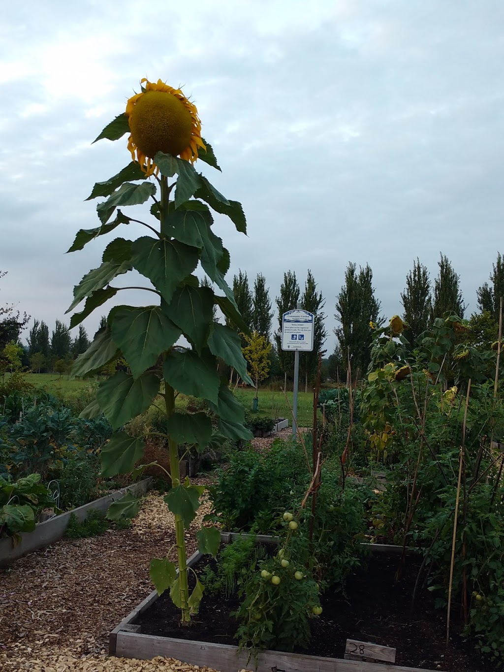 Langley Demonstration Garden | Fraser Hwy, Langley Twp, BC V3A, Canada | Phone: (604) 546-0344