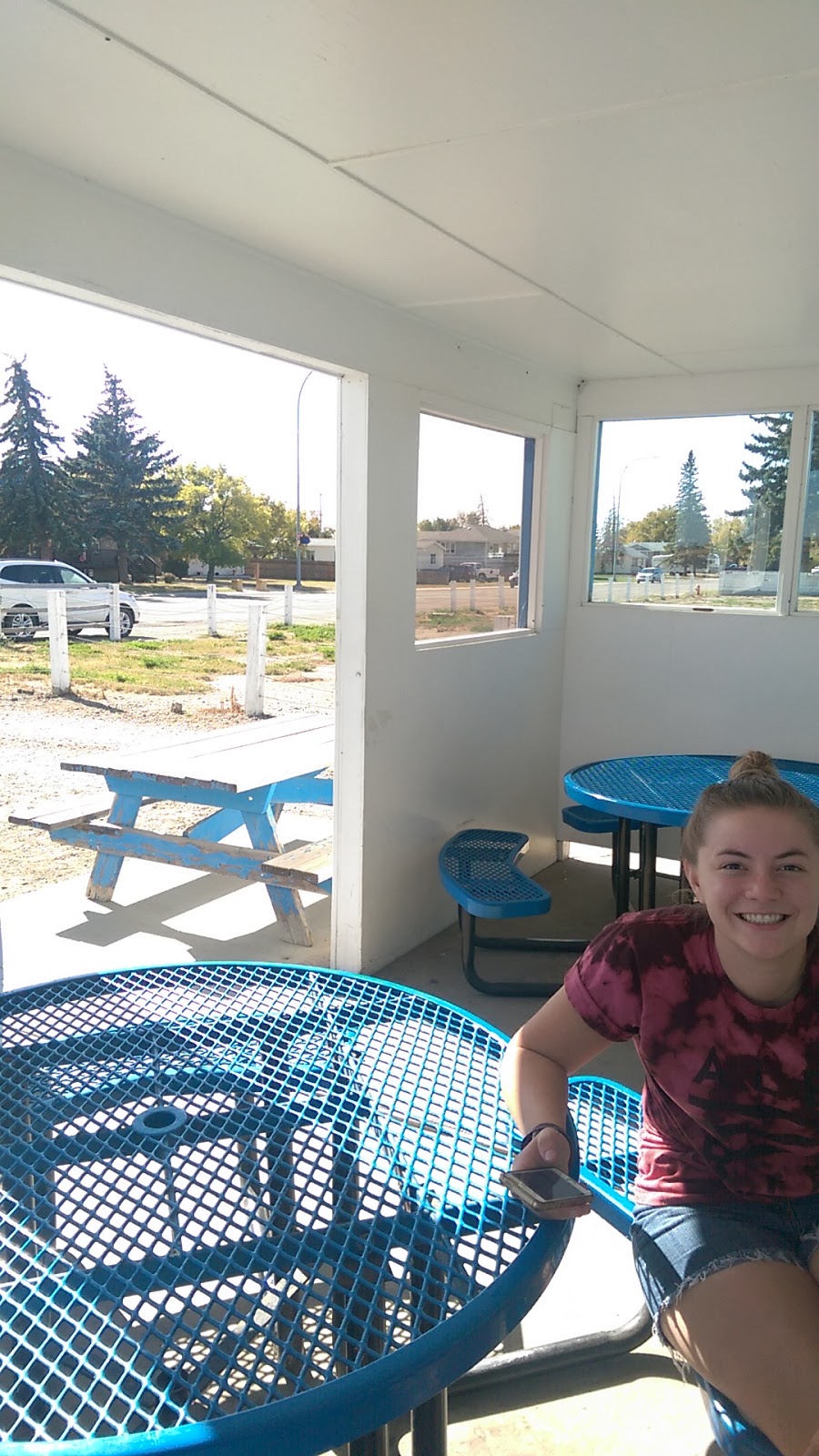 Wendys Dairy Bar | 104 2 Ave N, Vauxhall, AB T0K 2K0, Canada | Phone: (403) 654-2344
