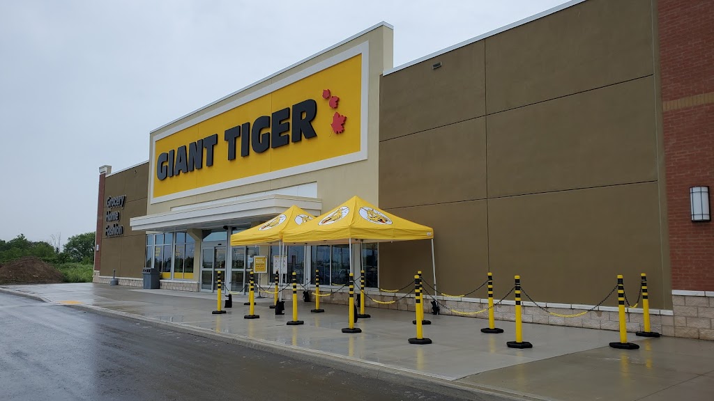 Giant Tiger | 120 Portia Dr Unit 3, Ancaster, ON L9G 0G1, Canada | Phone: (905) 648-7637
