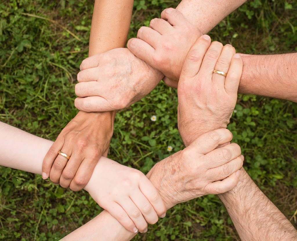Synergistix Health and Wellness | 10 Henderson Ave, Brampton, ON L6Y 2A4, Canada | Phone: (416) 576-7837