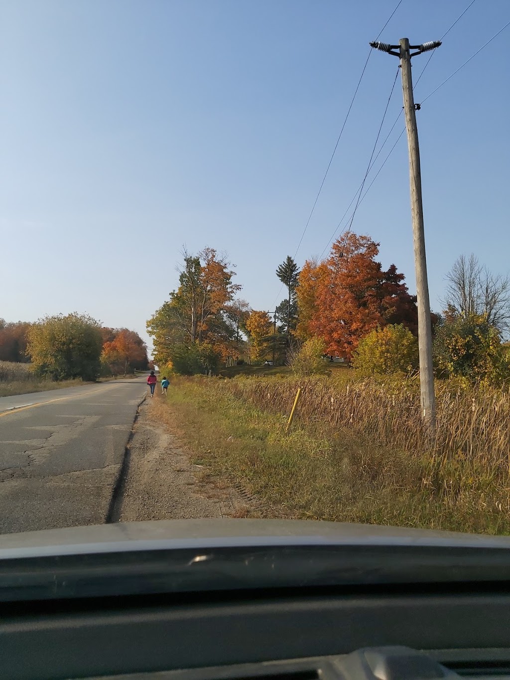 Gregston Farms | Heart Lake Rd, Inglewood, ON L7C 0R6, Canada | Phone: (905) 838-4189