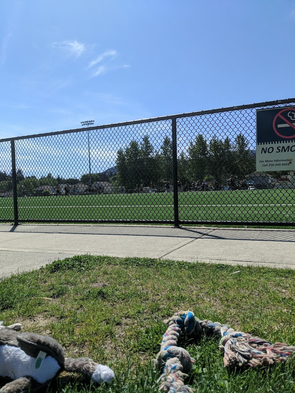 Forrest Field | 1337 4th Ave, Ladysmith, BC V9G 1J5, Canada | Phone: (250) 245-6424