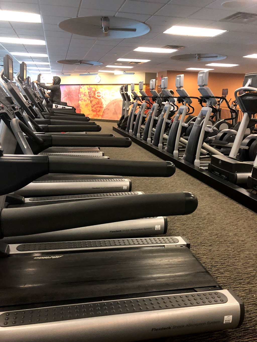 LA Fitness | 18367 Yonge St, East Gwillimbury, ON L9N 0A2, Canada | Phone: (289) 803-0327