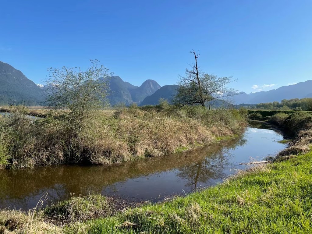 Pitt Meadows Paddling Club | 14411 Harris Rd, Pitt Meadows, BC V3Y 2T2, Canada | Phone: (778) 847-7672
