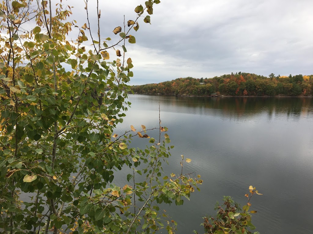WhatTheDevilLake | 9027 Perth Rd, Perth Road, ON K0H 2L0, Canada | Phone: (613) 273-9500