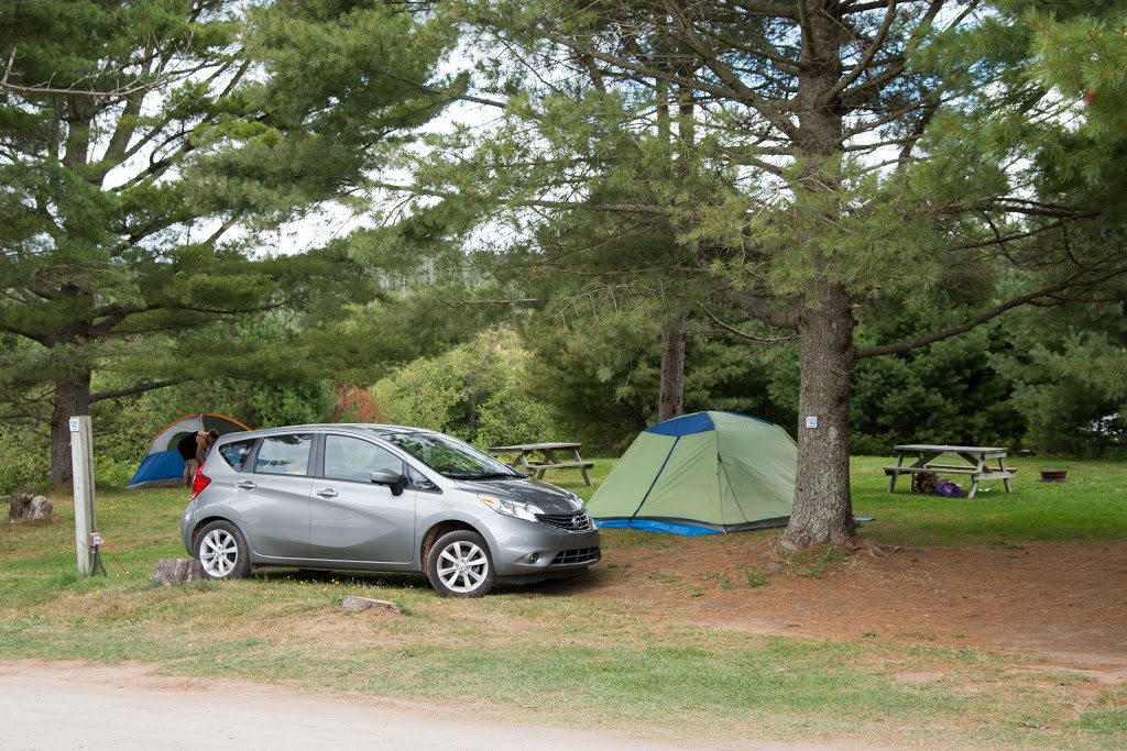 Ponderosa Pines Campground | 4325 NB-114, Lower Cape, NB E4H 3P1, Canada | Phone: (800) 822-8800