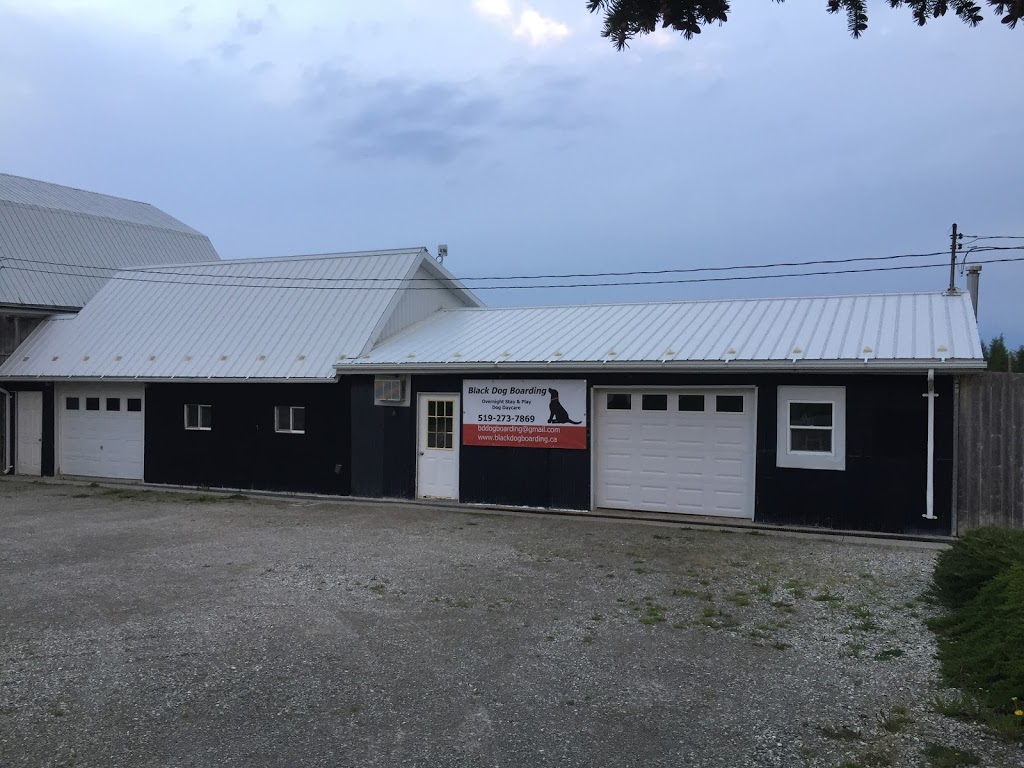 Black Dog Boarding | 2580 45 Line, Gads Hill, ON N0K 1J0, Canada | Phone: (519) 273-7869