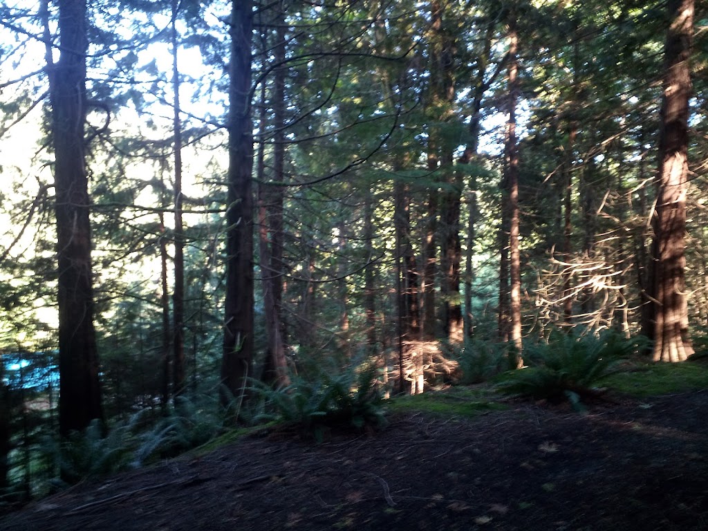 Xenia Labyrinth | 1401 Fernie Rd, Bowen Island, BC V0N 1G2, Canada | Phone: (604) 947-9816