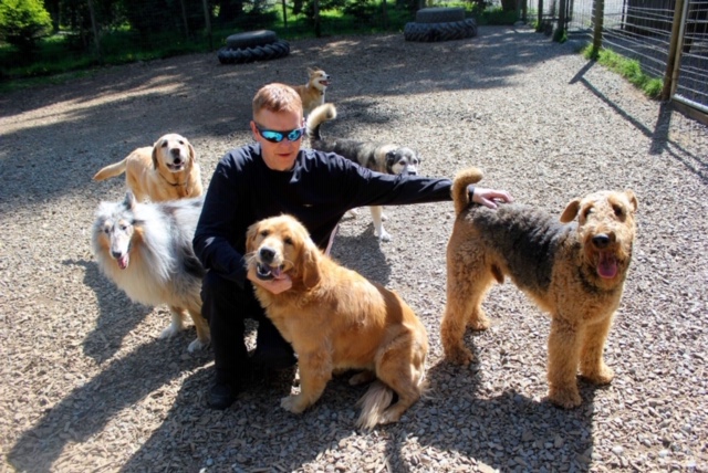 Cedar Ridge Canine | 2521 Townend Rd, Duncan, BC V9L 4L4, Canada | Phone: (250) 710-7525