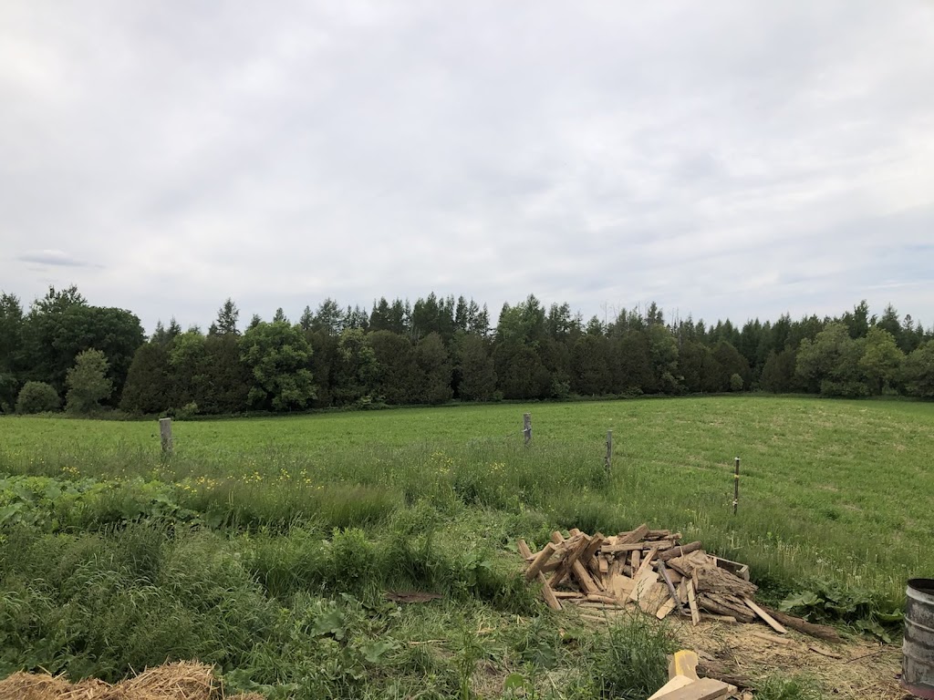 Greenfire-McLean Ranch | 103289 Southgate Rd 10, Mount Forest, ON N0G 2L0, Canada | Phone: (519) 604-5949