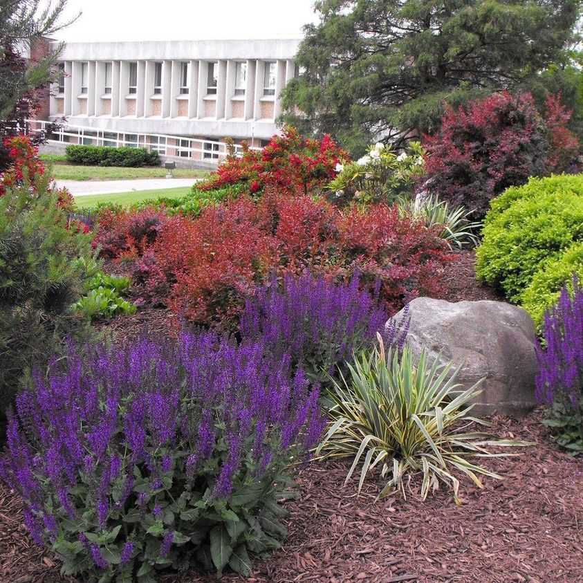 Gardeners Choice Landscaping | 29 Tuscarora St, Cayuga, ON N0A 1E0, Canada | Phone: (289) 370-0155