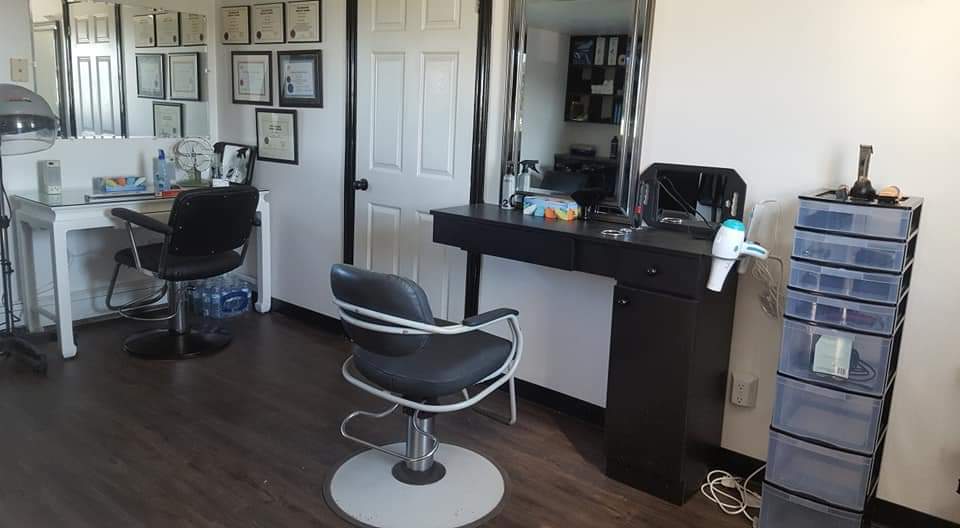 Solo Cuts | 2765 PE-11, Miscouche, PE C0B 1T0, Canada | Phone: (902) 303-3439