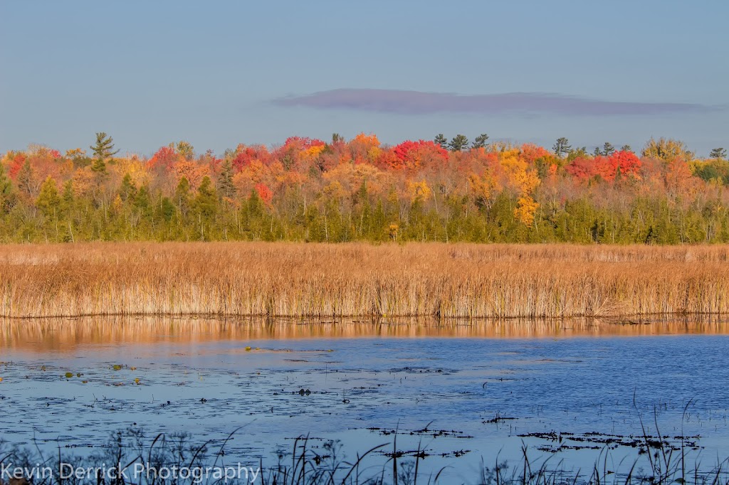 Marshland Centre | 64 Hague Blvd, Lakefield, ON K0L 2H0, Canada | Phone: (705) 292-9507