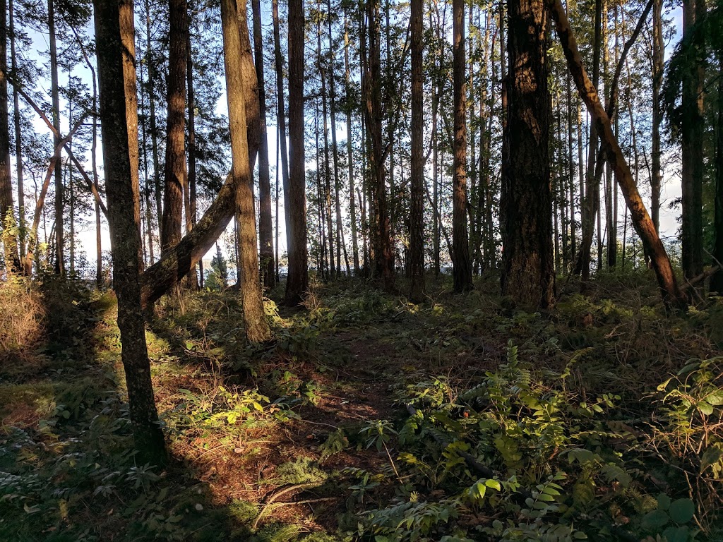 Petroglyph Provincial Park | 990-960, Trans-Canada Hwy, Nanaimo, BC V9R 6K5, Canada | Phone: (250) 474-1336
