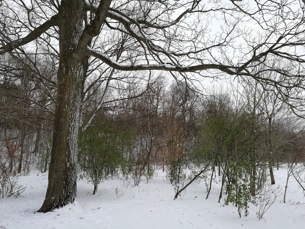 Greenway Off Leash Dog Park | Southcrest, London, ON N6J, Canada | Phone: (519) 661-4980