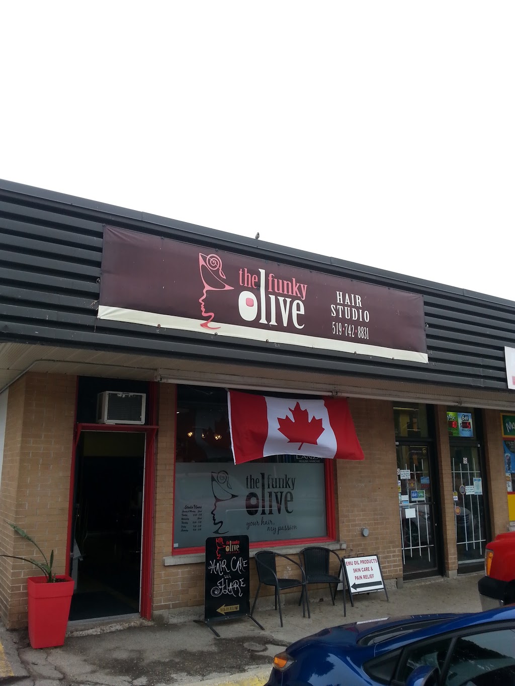 The Funky Olive Team at Excell Salon | 296 Highland Rd E, Kitchener, ON N2M 3W4, Canada | Phone: (519) 998-8039