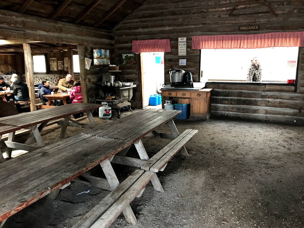 Horton Tree Farm | 5859 Slaters Rd, Gormley, ON L0H 1G0, Canada