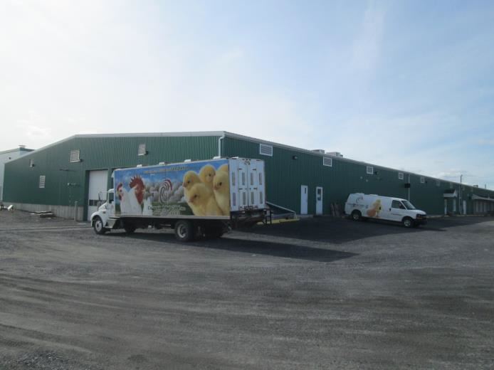 Couvoir Côté | 329 Rue Saint Georges, Ange-Gardien, QC J0E 1E0, Canada | Phone: (450) 293-3191