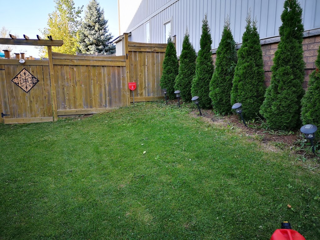 PasKo Property Maintenance | 687 King St W, Oshawa, ON L1J 2L2, Canada | Phone: (905) 809-9612
