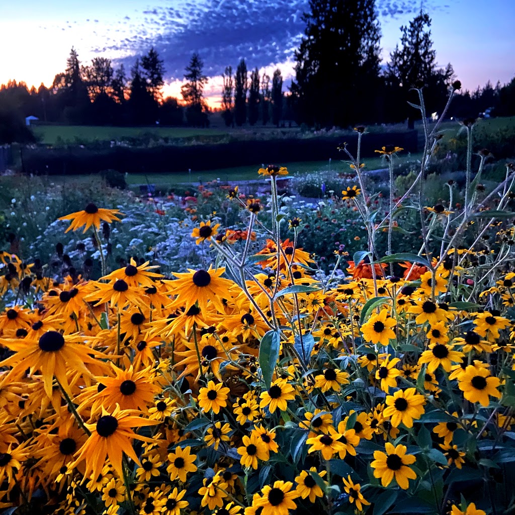 Early Bird Family Farm | 2768 256 St, Langley Twp, BC V4W 1Y4, Canada | Phone: (604) 614-6184