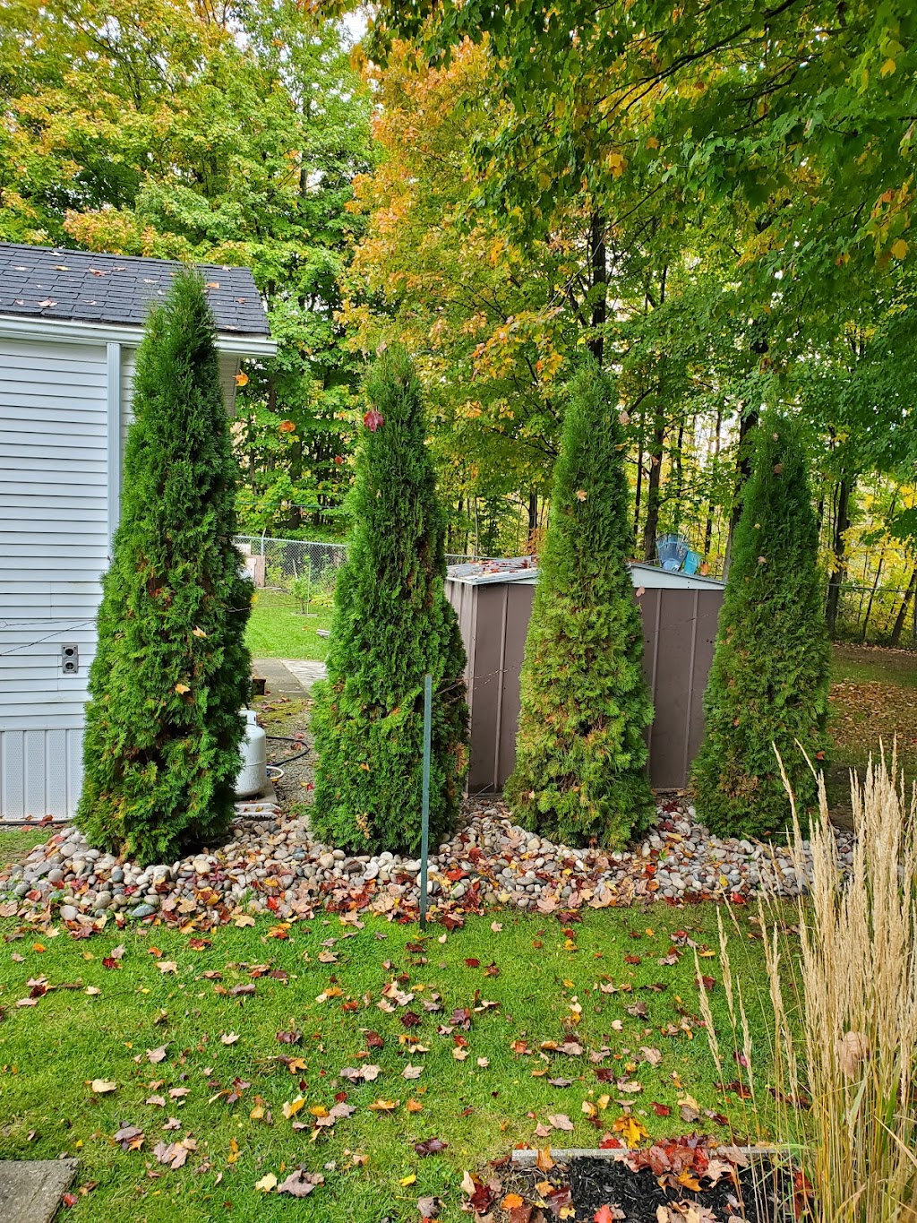 Shipley Property Maintenance | 835 Spring Creek Rd, Wiarton, ON N0H 2T0, Canada | Phone: (519) 270-2622