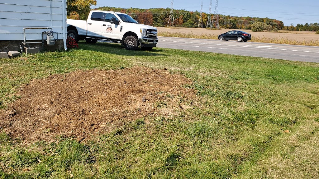Apple Stump Removal | 1900 Garrison Rd, Fort Erie, ON L2A 5M4, Canada | Phone: (905) 327-6666