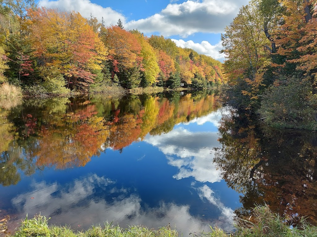 Morell River Management Cooperative | 2720 Mt Stewart Rd, Mount Stewart, PE C0A 1T0, Canada | Phone: (902) 583-3144