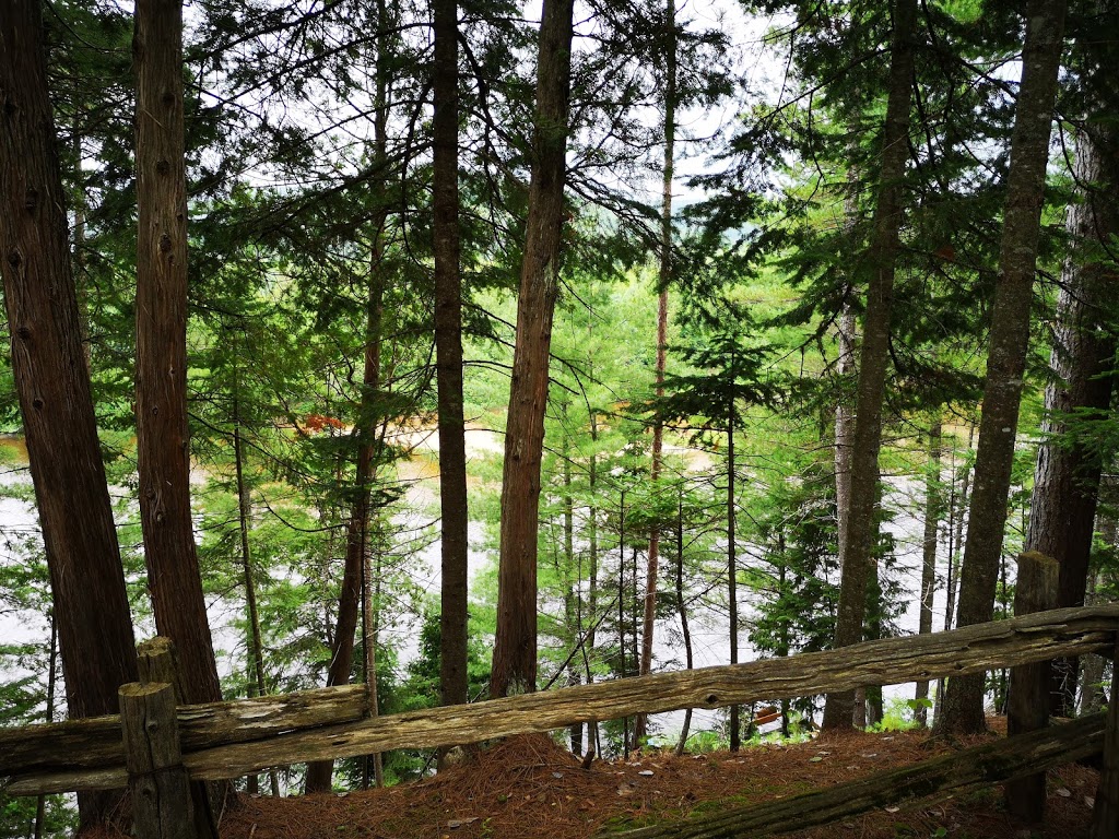 Auberge le Cosy / Tremblant | 4273 Route des Tulipes, La Conception, QC J0T 1M0, Canada | Phone: (819) 686-5289