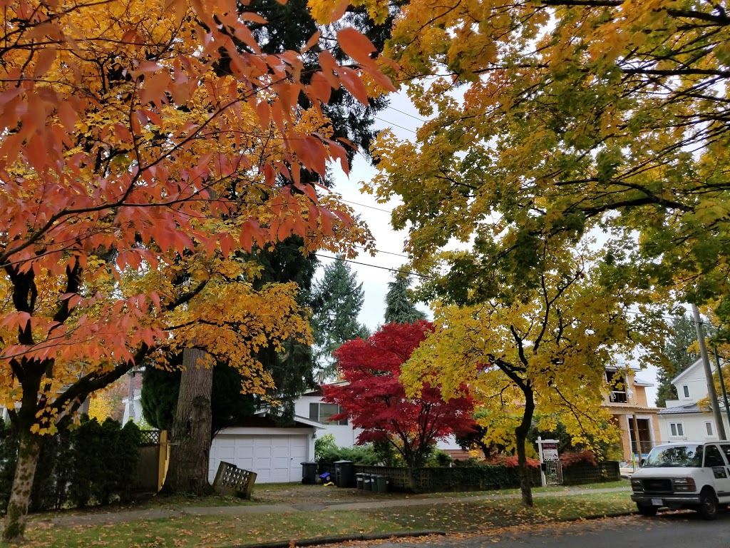 Kerrisdale Elementary School | 5555 Carnarvon St., Carnarvon St, Vancouver, BC V6N 1J2, Canada | Phone: (604) 713-5446