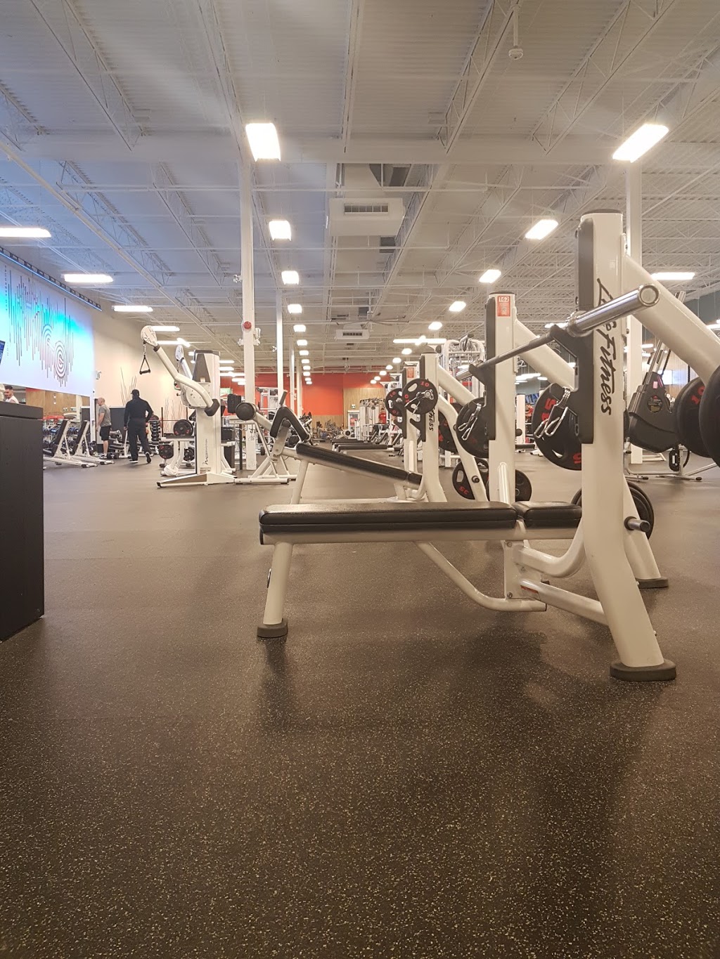 GoodLife Fitness Brampton Gateway | 499 Main St S, Brampton, ON L6Y 1N9, Canada | Phone: (905) 454-4073