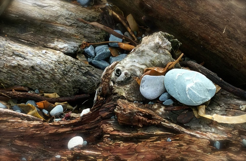 Seahouse Gallery | 2905 Fulford-Ganges Rd, Salt Spring Island, BC V8K 1X6, Canada | Phone: (250) 537-6413