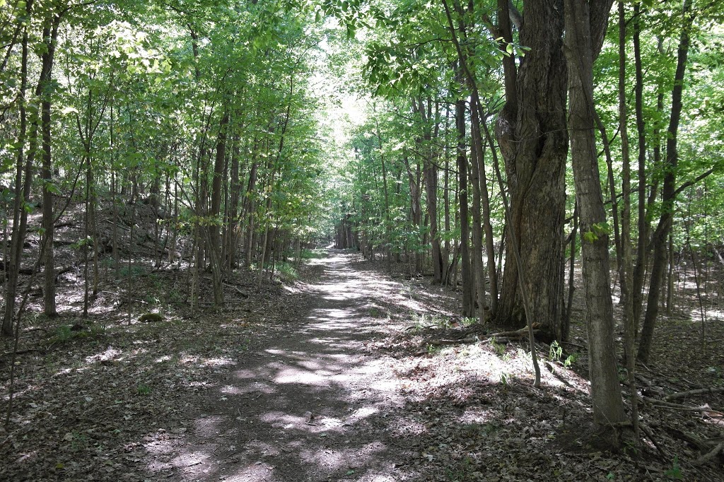 Murphys Point Provincial Park | 2243 Elm Grove Rd, Perth, ON K7H 3C7, Canada | Phone: (613) 267-5060