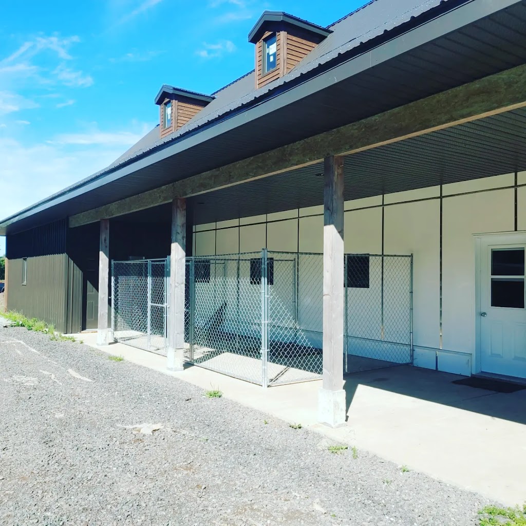 Centre équestre des ruisseaux inc | 730 Av. des Ruisseaux, Pintendre, QC G6C 1N1, Canada | Phone: (418) 563-6281