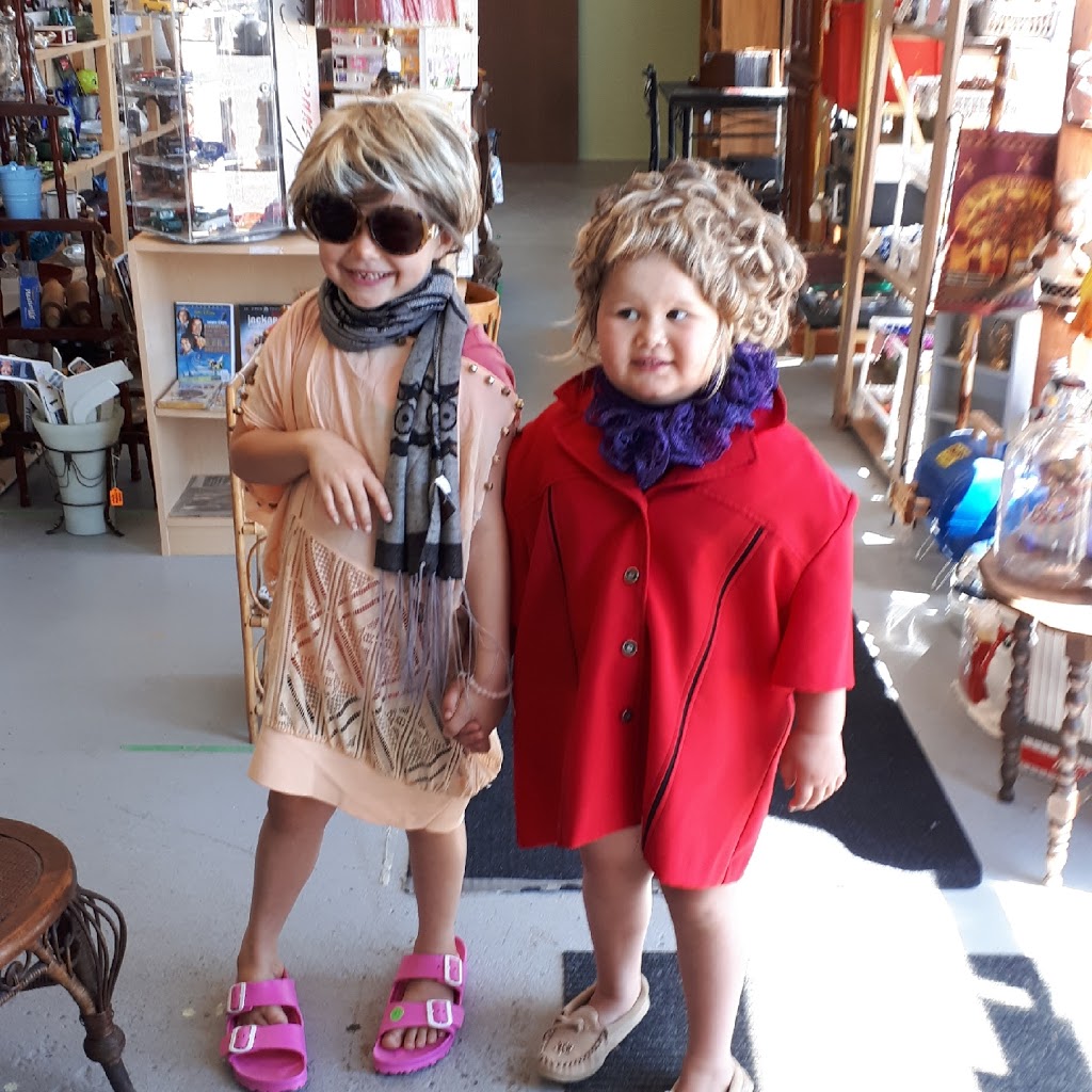 Treasures on 35 | 3921 ON-35, Cameron, ON K0M 1G0, Canada | Phone: (705) 300-1544