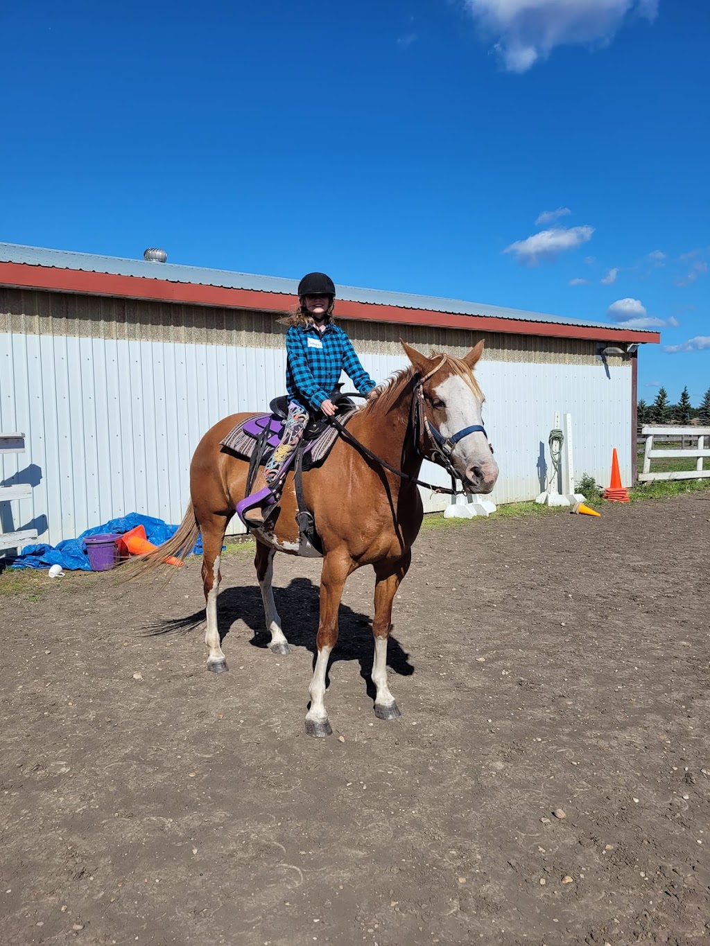 Paradise Acres Ranch | 26212 Township Rd 552, Sturgeon County, AB T8R 2E1, Canada | Phone: (780) 805-6073