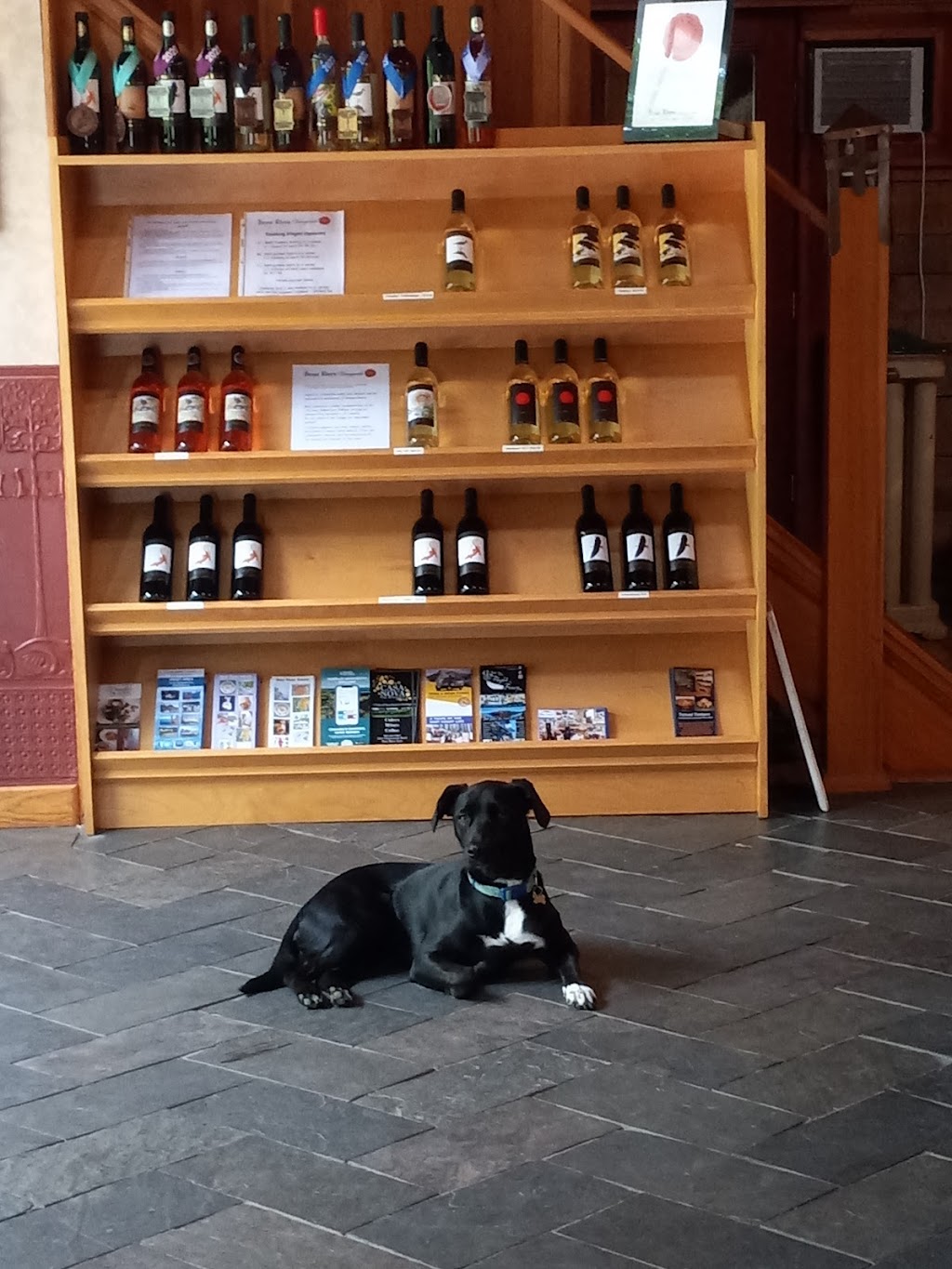 Bear River Vineyards | 133 Chute Rd, Bear River, NS B0S 1B0, Canada | Phone: (902) 467-4156