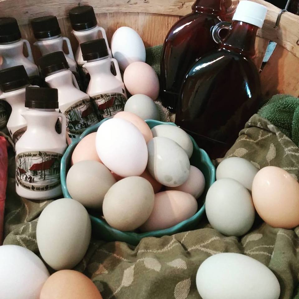 Mountain River Farm | 712 Torbrook Rd, Wilmot, NS B0P 1W0, Canada | Phone: (902) 825-9257