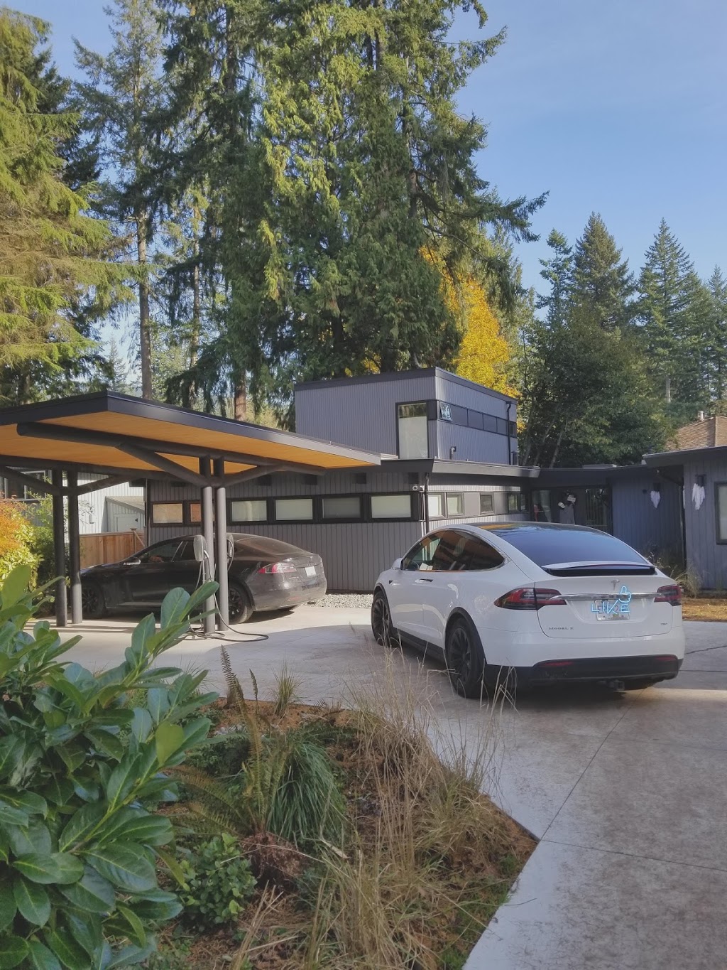 Pro Torch Roofing | 3171 Golden Link Crescent, Vancouver, BC V5S 4M6, Canada | Phone: (778) 316-1247