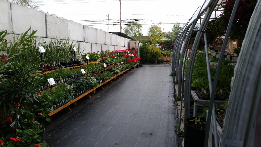 Bio Horticentre Méristème | 235 Chemin Eardley, Gatineau, QC J9J 2Y8, Canada | Phone: (819) 684-6969