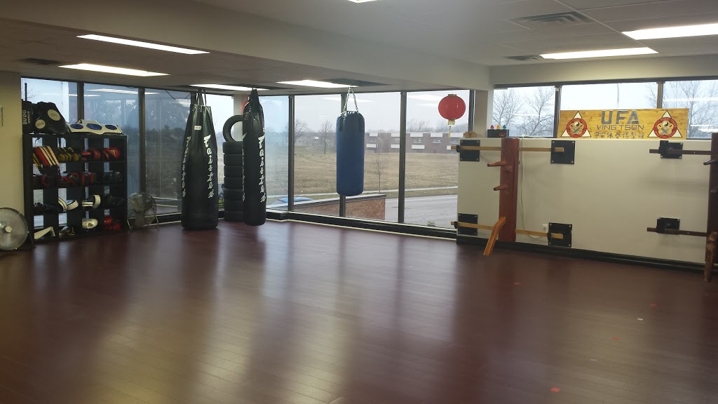UFA Ving Tsun Martial Arts | 1050 Paramount Dr, Stoney Creek, ON L8J 1P8, Canada | Phone: (905) 296-5674