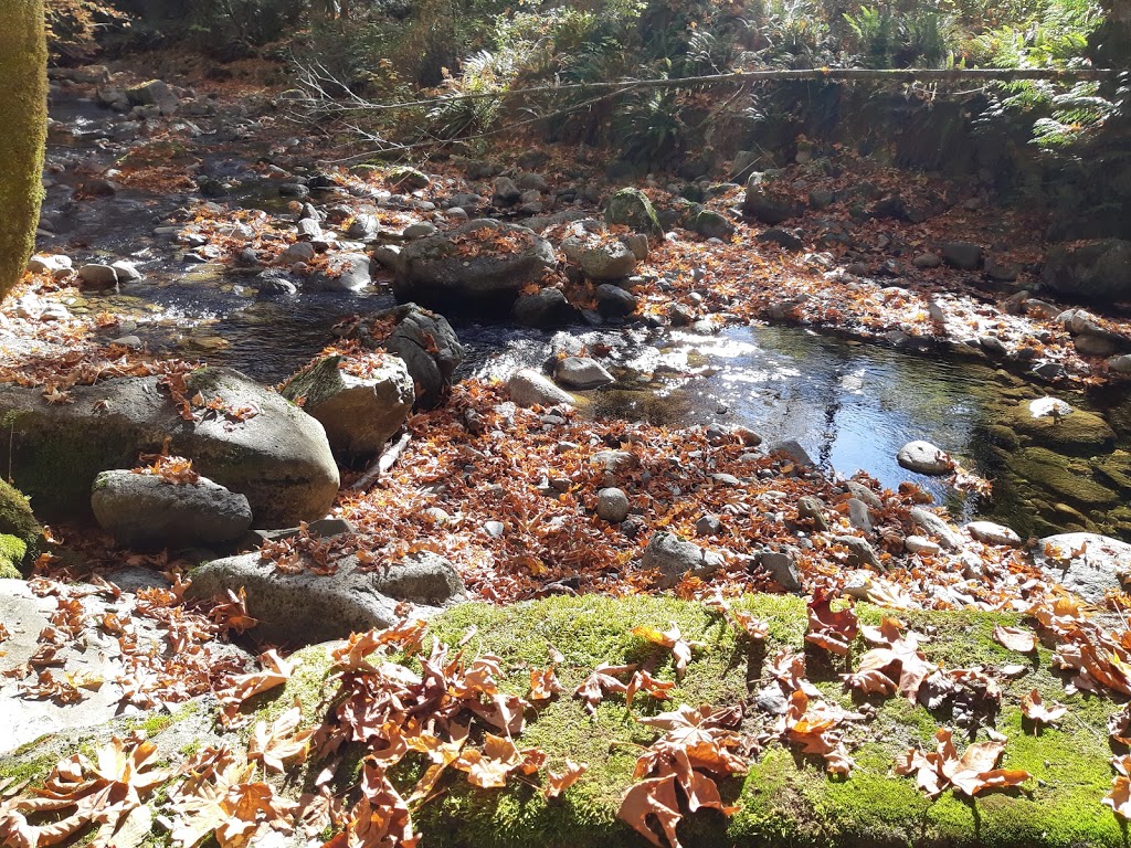 Holland Creek Trail Head | 374 Dogwood Dr, Ladysmith, BC V9G 1T5, Canada