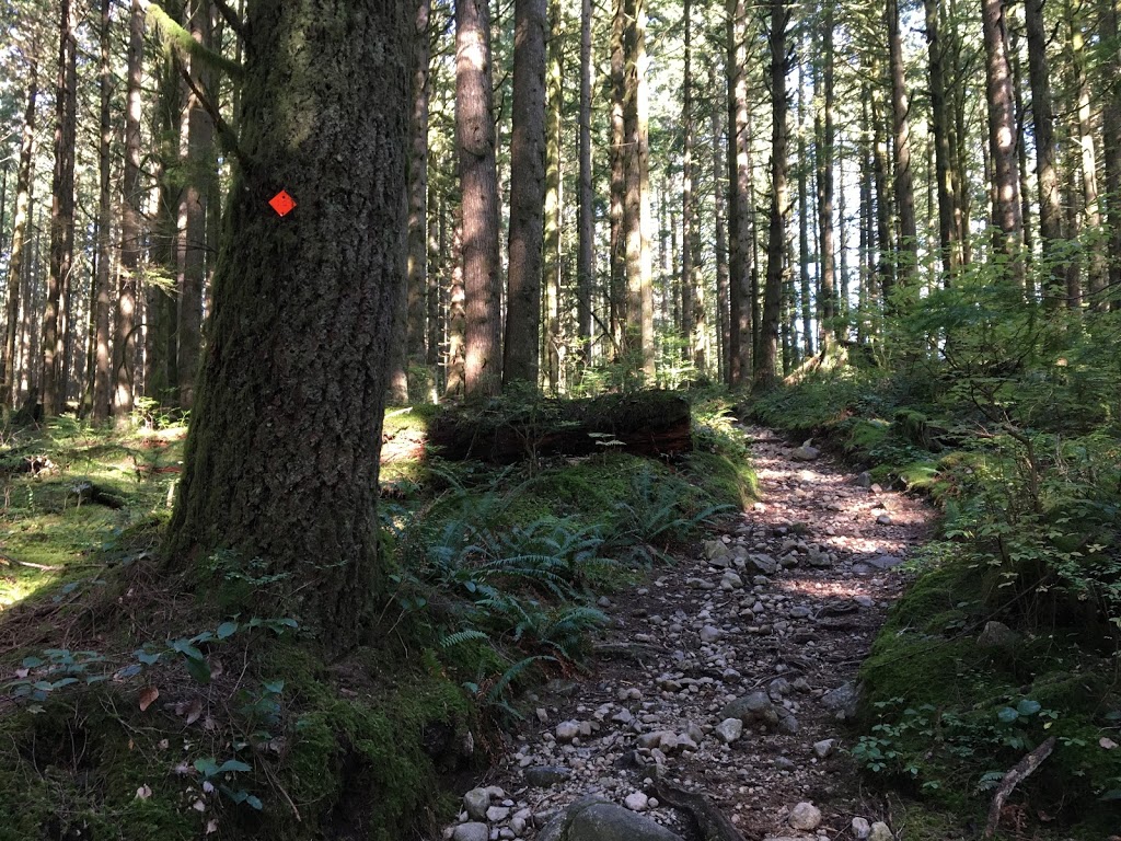 Lookout Trail | Golden Ears Pkwy, Maple Ridge, BC V0M, Canada