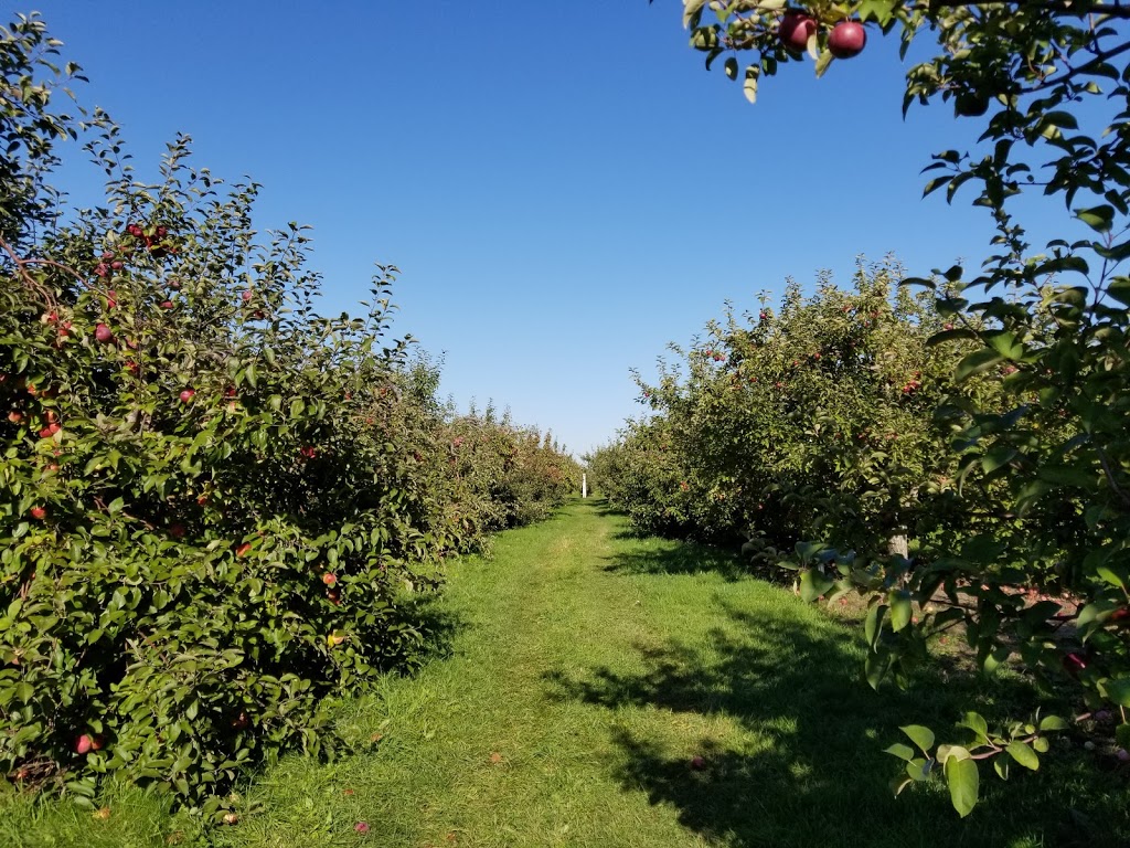 Verger St-Francois | 1055 Grand Rang St François, Saint-Pie, QC J0H 1W0, Canada | Phone: (450) 772-5262