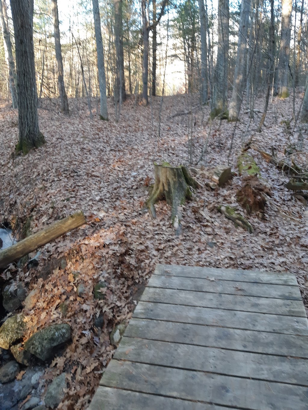 Sidney Conservation Area | 379 Airport Rd, Stirling, ON K0K 3E0, Canada | Phone: (613) 968-3434