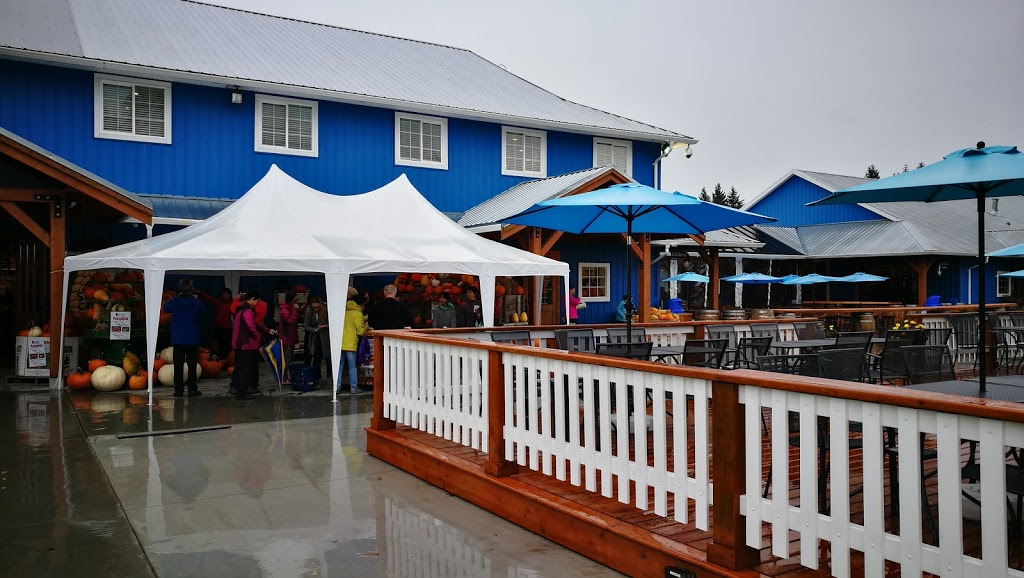 Krause Berry Farms & Estate Winery | 6179 248 St, Langley Twp, BC V4W 1C3, Canada | Phone: (604) 856-5757
