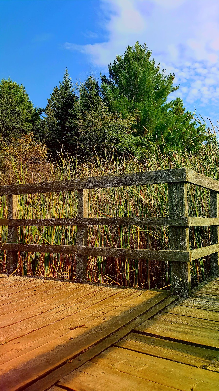Deevy Pines Park | 65 Stonehaven Dr, Ottawa, ON K2K 1A1, Canada | Phone: (613) 580-2400